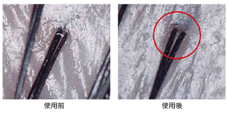 アクアリバイバル