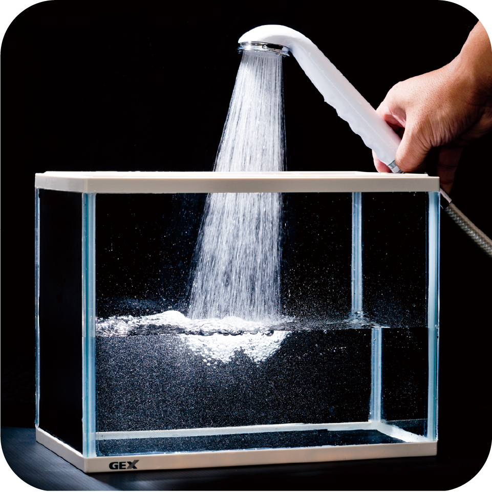 アクアリバイバル